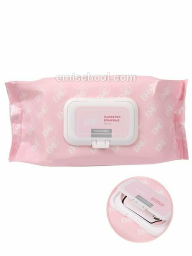 [ACCWW] Wet Cleaning Wipes E.Mi, 100 pcs