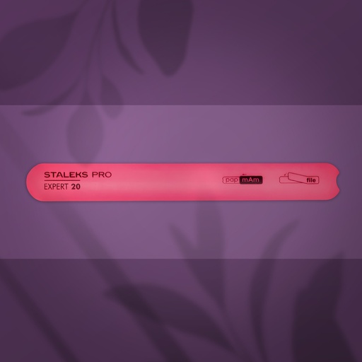 Beveled straight plastic nail file (base) Staleks Pro Expert 20 (Lima de uñas de plástico recta biselada)